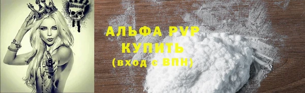 стаф Вяземский