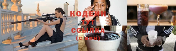 стаф Вяземский