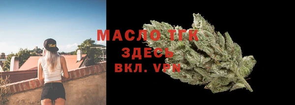 стаф Вяземский