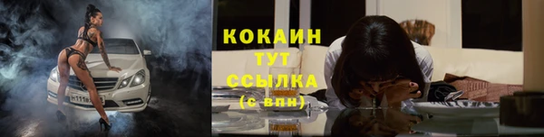 стаф Вяземский