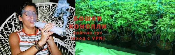 стаф Вяземский