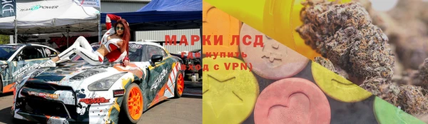 стаф Вяземский