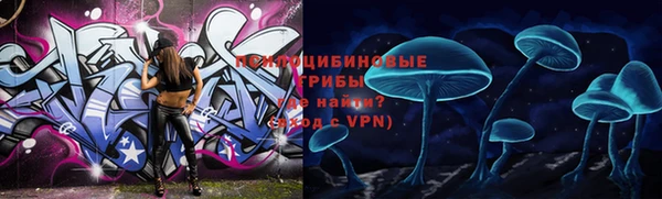 прущий лед Вязники