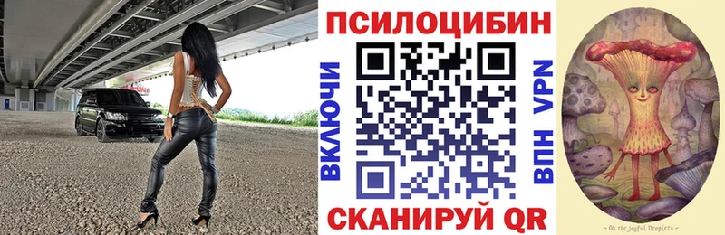хочу   Дербент  Галлюциногенные грибы GOLDEN TEACHER 